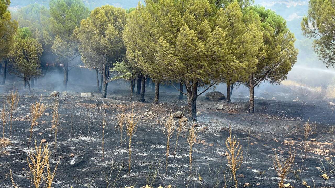 Menteşe’de Otluk Alanda Çıkan Yangın Ormana Sıçradı 1